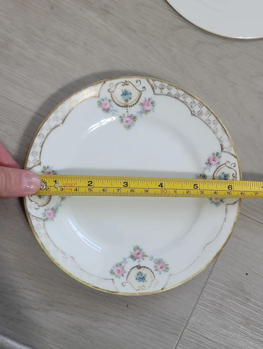 Vintage Nippon Hand Painted Floral Small Plates Set of 2 Gold Grandma Delicate